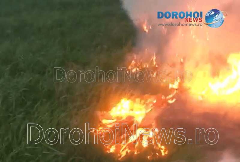 Incendiu vegetatie_06