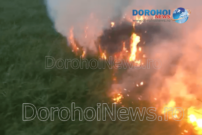 Incendiu vegetatie_07