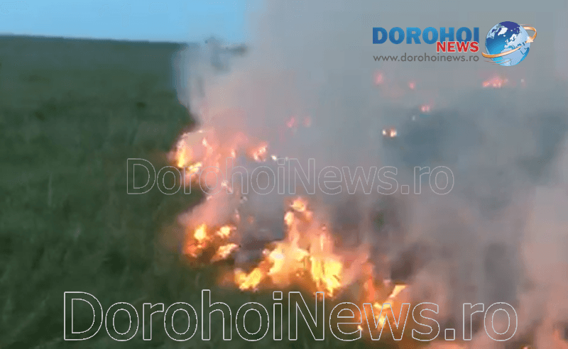 Incendiu vegetatie_08