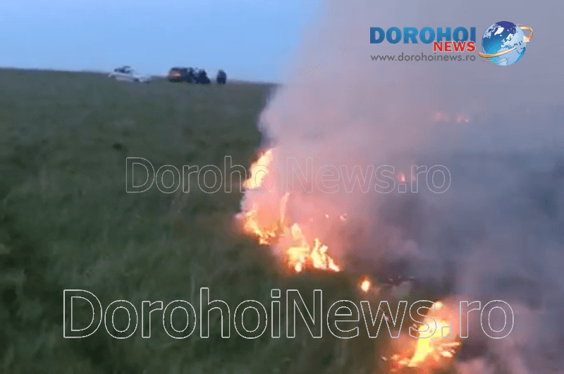 Incendiu vegetatie_09