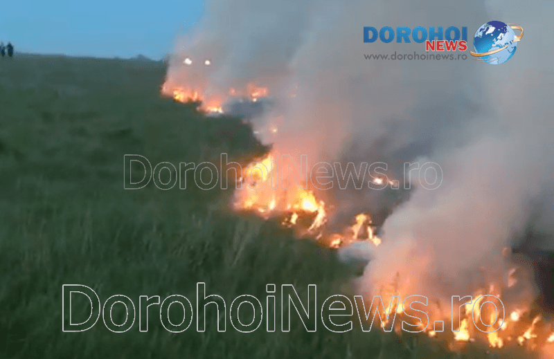 Incendiu vegetatie_10