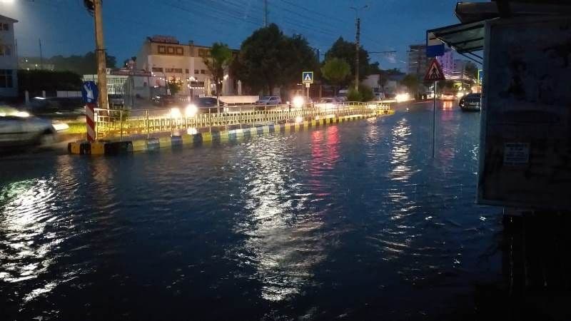 Furtuna (8)