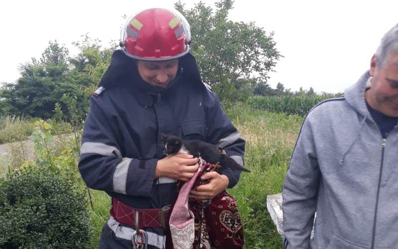 pisica salvata din fantana (3)