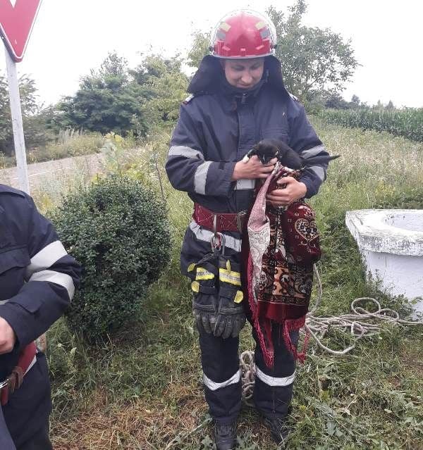pisica salvata din fantana (4)