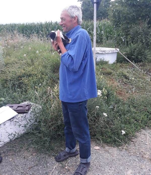 pisica salvata din fantana (5)