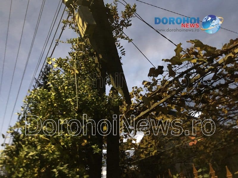 Accident stalp Dorohoi_07