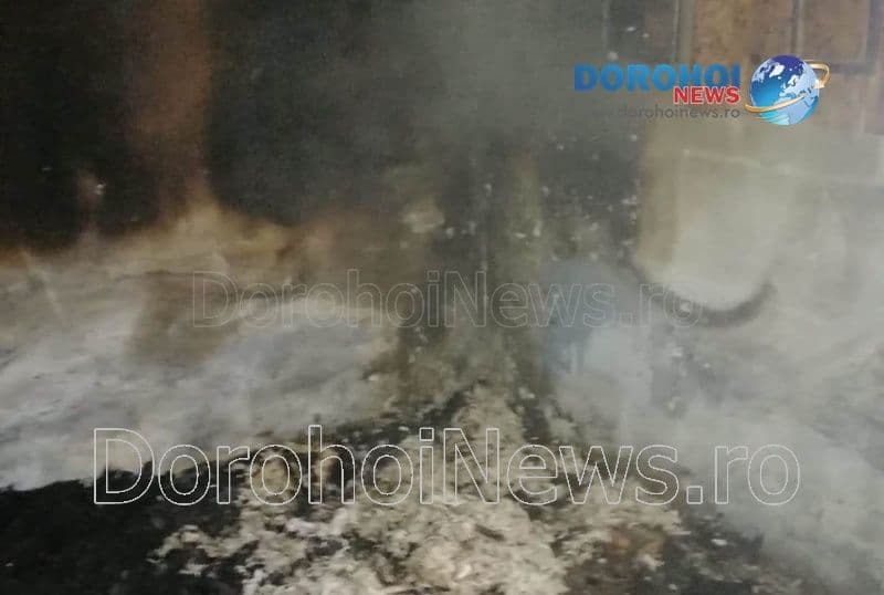 Incendiu Vf. Campului_06