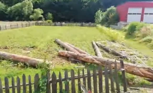 Accident_4