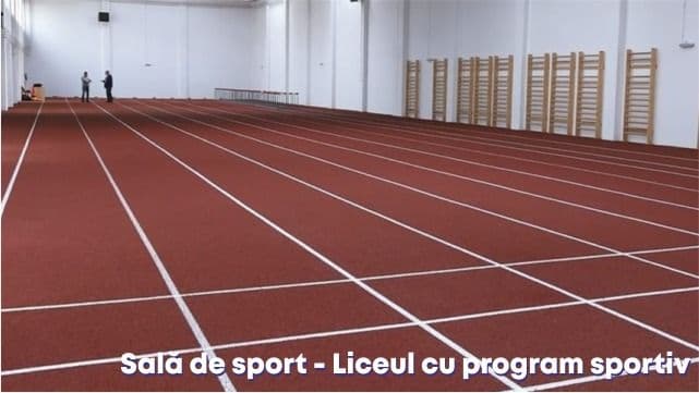 sala de sport liceul cu program sportiv municipiul botosani