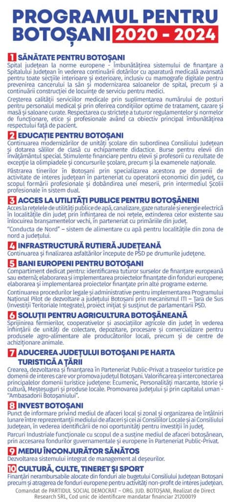 proiecte princiaple Doina Federovici
