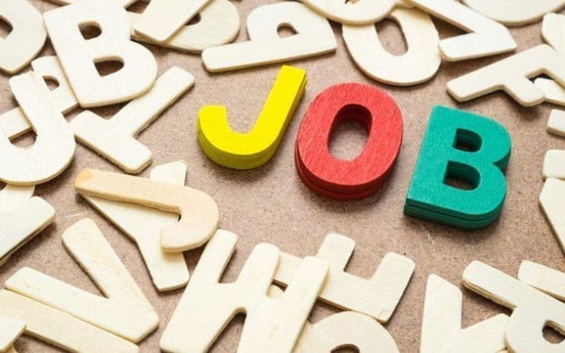 Peste 500 de locuri de muncă vacante în județul Botoșani în această săptămână