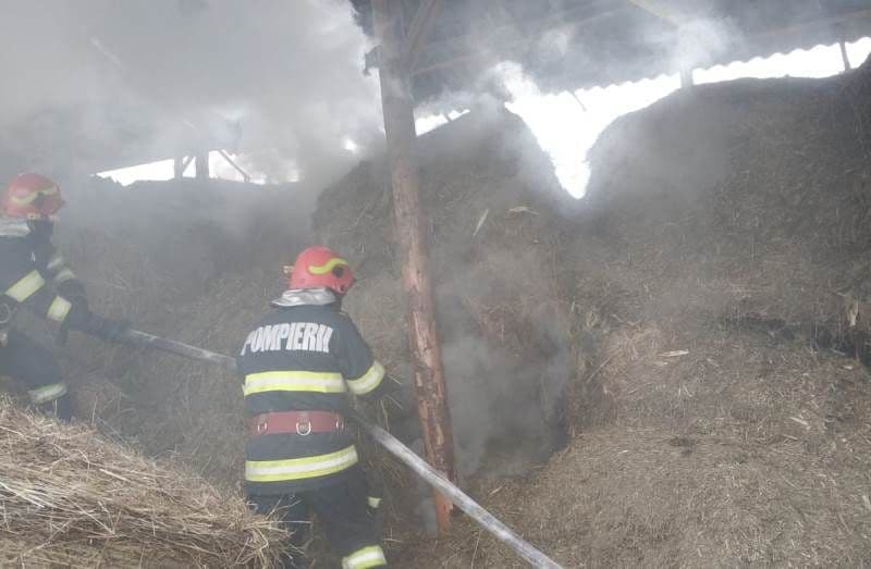 Intervenție a pompierilor din Dorohoi: Tone de furaje protejate de foc la Brăești - FOTO