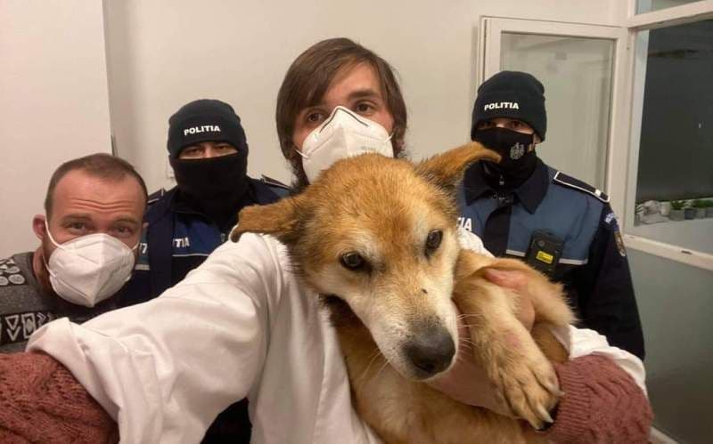 Câine salvat de doi polițiști inimoși – FOTO