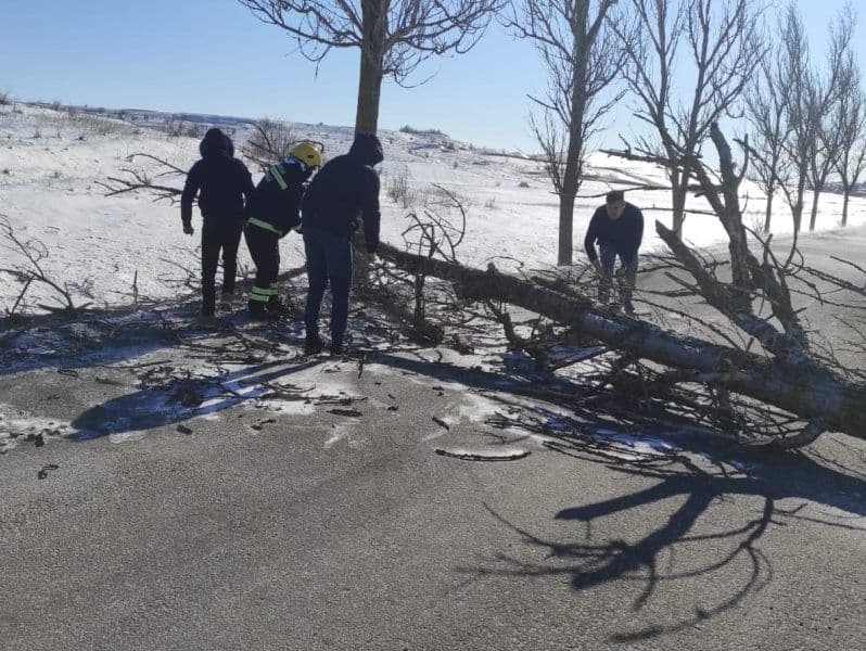 Pompieri voluntari blocați de un copac căzut în mijlocul drumului în timp ce mergeau la un incendiu