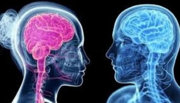 Care este diferența majoră între creierul bărbaților și cel al femeilor