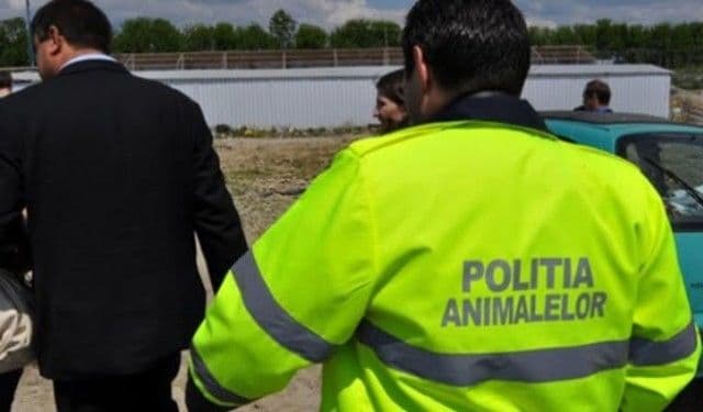 Atribuțiile polițiștilor din cadrul Poliției pentru Protecția Animalelor