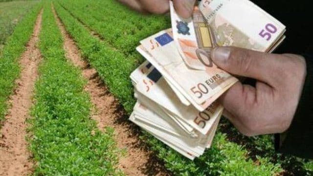 Veste bună pentru fermierii din Botoșani – vor fi bani pentru campania de primăvară