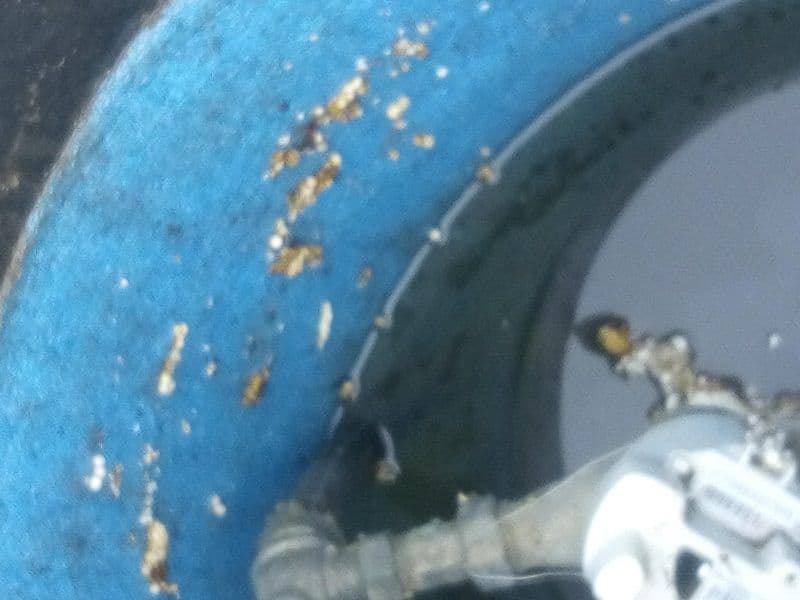 Primim la redacție – Strigăt de disperare al unor cetățeni din Dorohoi – FOTO