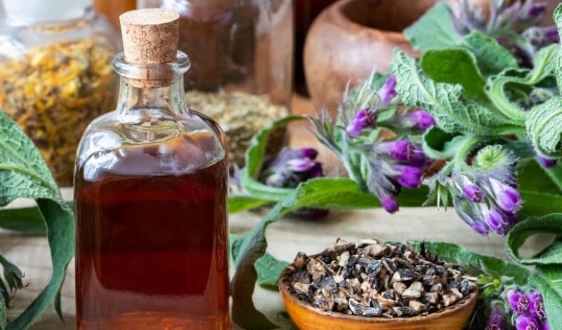 Remedii naturiste pentru diverse boli folosind tătăneasa