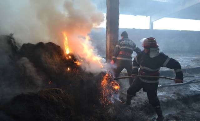 Incendiu la un depozit de furaje din Hudești, stins după șase ore