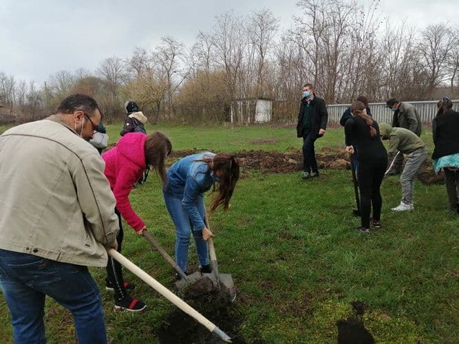 „UN POM – O VIAȚĂ” - activitate în comuna Viișoara - FOTO