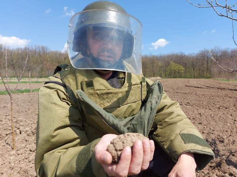 Grenadă descoperită în grădina unui localnic din județ - FOTO