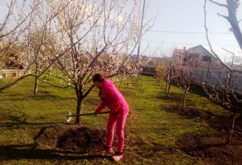 Ziua Pământului 2021 la Școala Cornerstone Dorohoi - Mișcare pentru protejare - FOTO | VIDEO