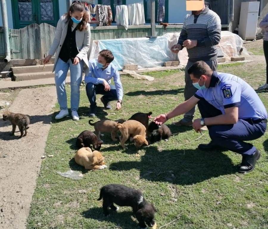 Zece căței abandonați salvați de Polițiștii din cadrul Biroului de Protecție a Animalelor - FOTO