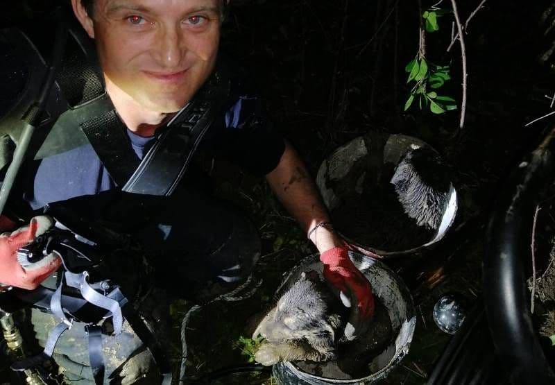 Misiune contra cronometru pentru pompieri după ce doi câini au căzut într-o fântână