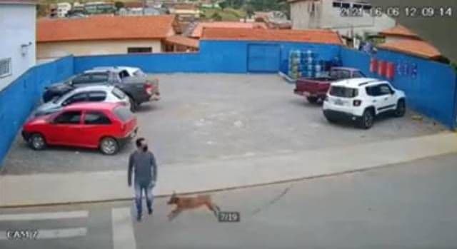 De-a râsul-plânsul! Tânăr lovit pe trecerea de pietoni de un câine care alerga - VIDEO