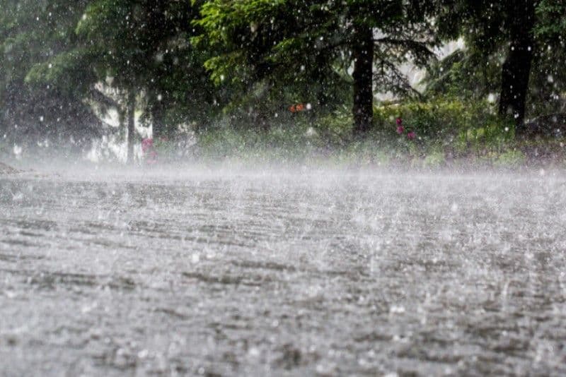 Avertizare meteo! COD PORTOCALIU de ploi abundente și instabilitate atmosferică accentuată pentru județul Botoșani