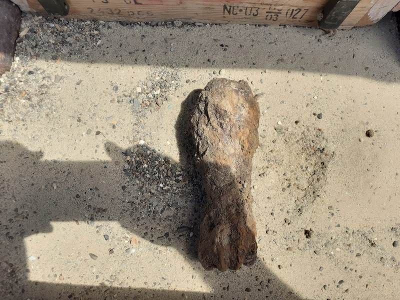 Bombă de aruncător, descoperită la Tudora