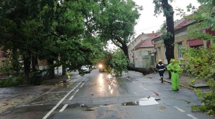 Măsuri luate de ISU Botoșani în contextul codului portocaliu de vijelii puternice