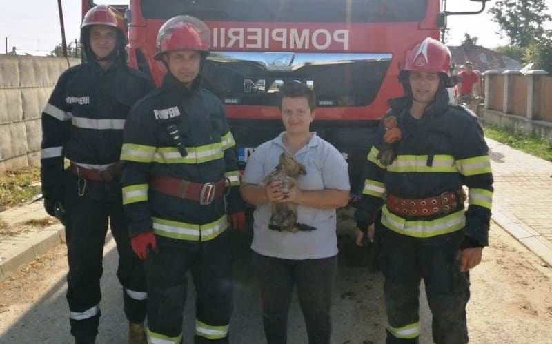 Cățel salvat de la moarte sigură de pompieri