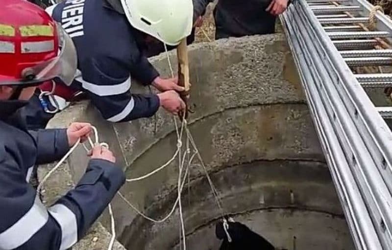 Misiune contracronometru a pompierilor botoșăneni. Au salvat o tânără de 16 ani dintr-o fântână