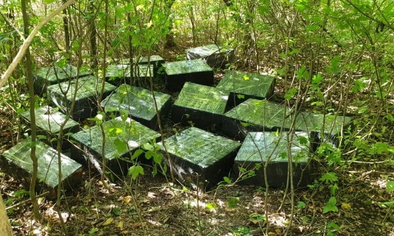 Focuri de armă pentru oprirea contrabandiştilor de ţigări, la frontiera cu Ucraina - FOTO