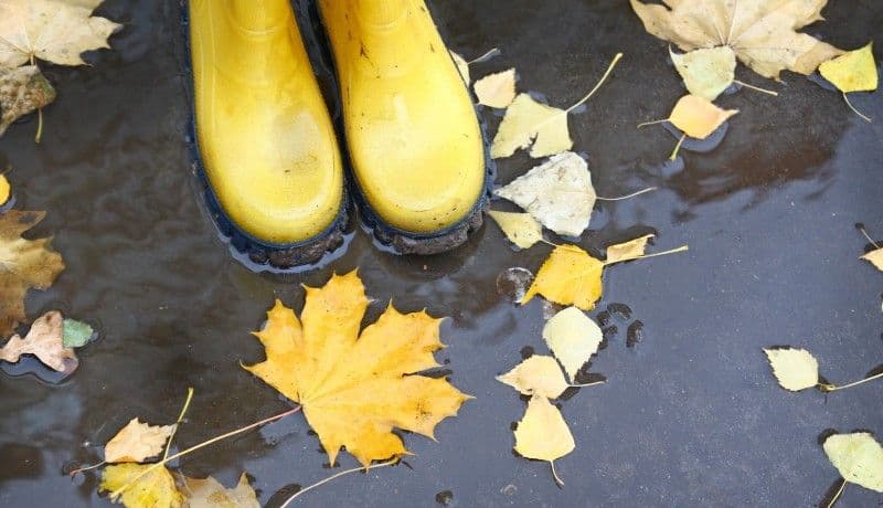 Vine iarna în România! Temperaturile vor coborî la minime de 2 grade, Prognoza meteo pentru următoarele două săptămâni