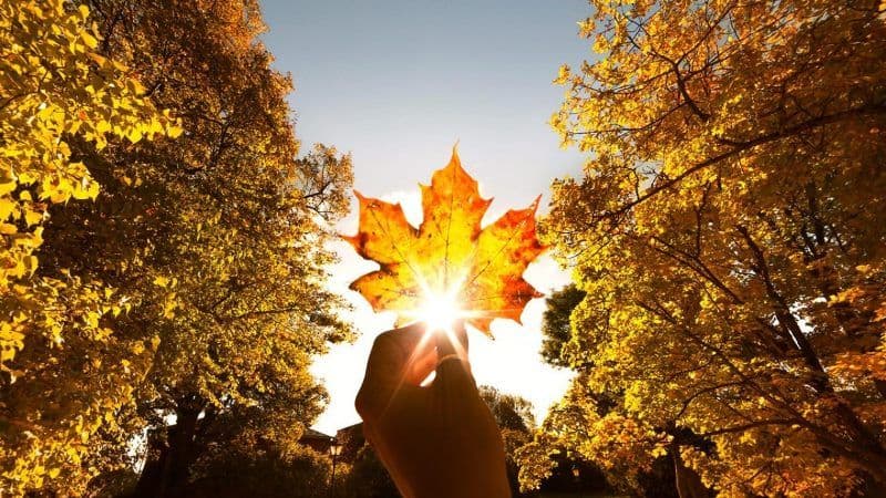 Temperaturile cresc brusc în acest sfârșit de săptămână