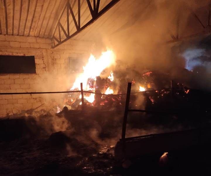 Incendiu violent la Tudora! Acoperișul unei case și o anexă cu păsări și iepuri distruse de flăcări