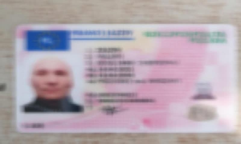 Permis de conducere polonez fals descoperit la controlul de frontieră de polițiștii botoșăneni