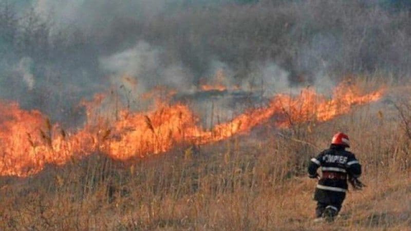 Patru incendii de vegetație uscată în mai puțin de patru ore