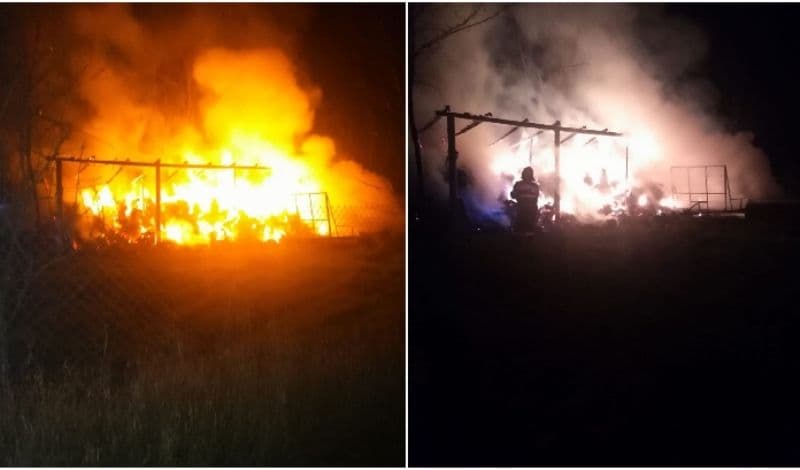 21 de incendii au avut loc, săptămâna trecută, în județul Botoșani