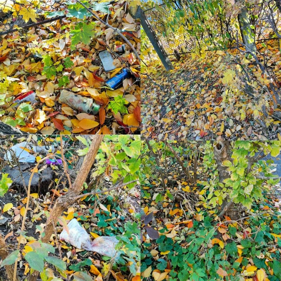 Primim la redacție – Natura şi educaţia sunt asemănătoare - FOTO