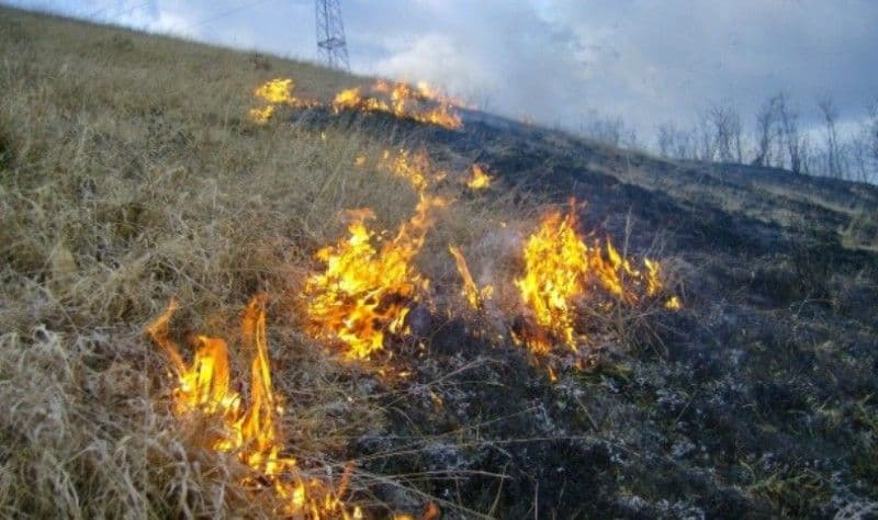 Apelul Primăriei Municipiului Dorohoi către locuitori privind interzicerea arderii vegetației uscate