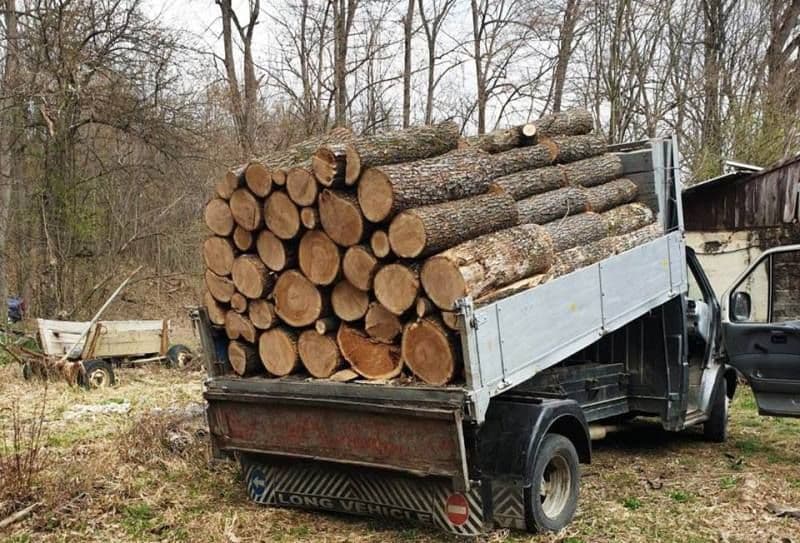 Material lemnos confiscat la intrarea în Dorohoi 
