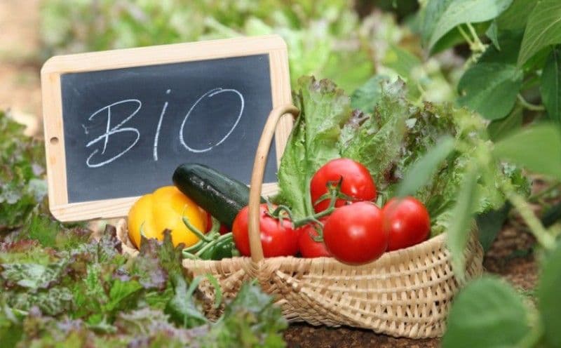 Ce proprietăți trebuie să aibă, de fapt, un produs bio