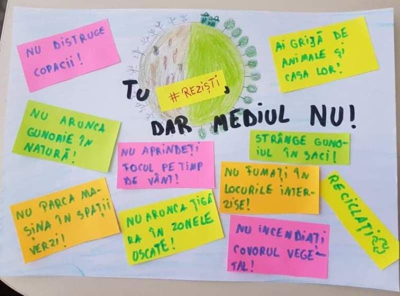 Mii de elevi și sute de profesori au desfășurat activități în Săptămâna Educației Globale 2021