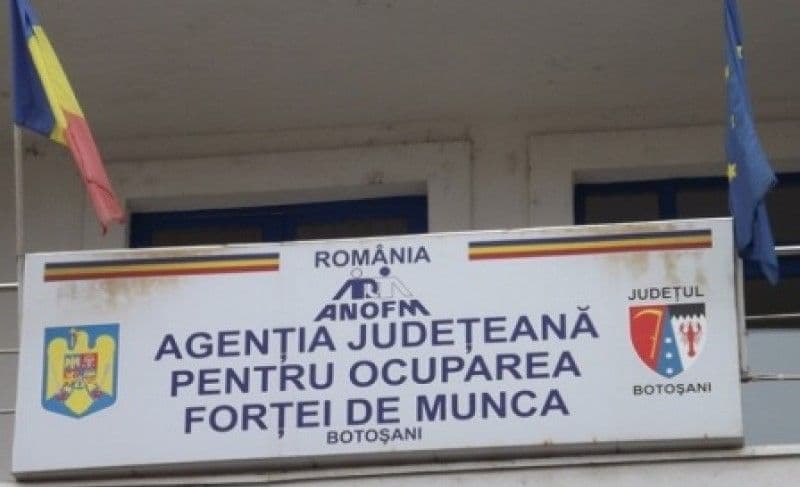 Peste 5000 de persoane angajate prin intermediul AJOFM BOTOȘANI in perioada ianuarie-noiembrie 2021