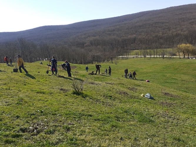 manastirea Agafton plantare versant Manastirea Agafton  (1)