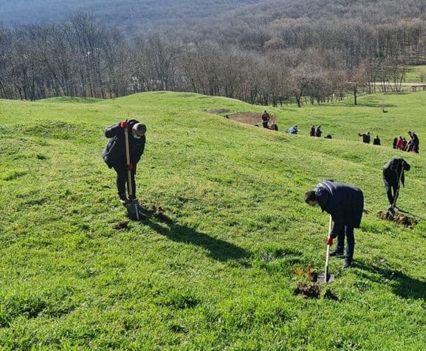 manastirea Agafton plantare versant Manastirea Agafton  (4)